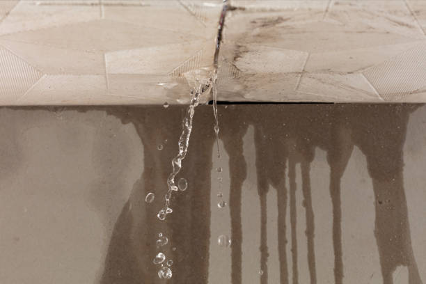 Professional Structural Drying technician working in Jersey City, NJ